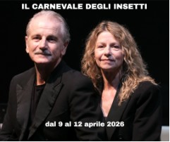 Il carnevale degli insetti